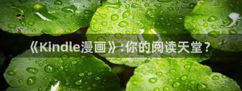漫蛙漫画软件免费：《Kindle漫画》:你的阅读天堂？